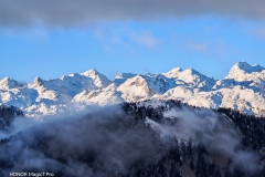 IMG_20250116_153748