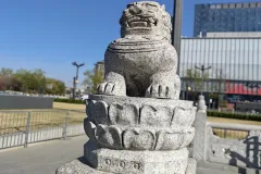 IMG_20251128_142235