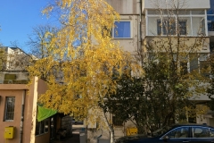 IMG_20201123_105527