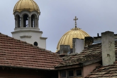 IMG_20201206_110249