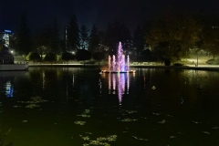 IMG_20201122_182535