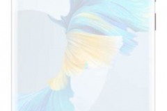 Screenshot-2020-10-18-101519