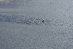 IMG_20221227_155606