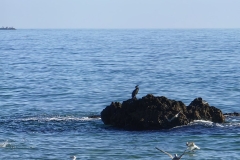 IMG_20230102_125333