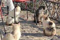 IMG_20230102_125758