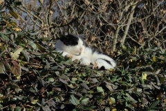 IMG_20230106_123247