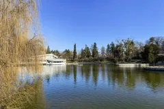 IMG_20260128_105424
