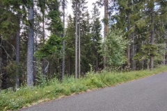 IMG_20200725_183528147