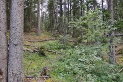 IMG_20200725_185028757