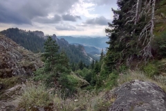 IMG_20200802_104144215_HDR