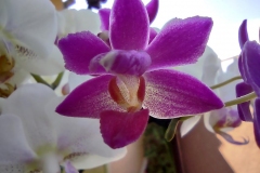 IMG_20200815_105540813_HDR
