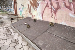 IMG_20210325_102835743_HDR