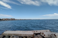 IMG_20210514_074833363_HDR