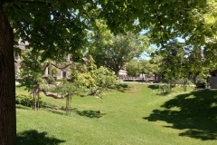 IMG_20220520_123336355_HDR