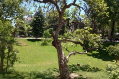 IMG_20220520_123409831_HDR