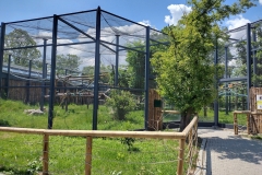 IMG_20210605_124039279_HDR
