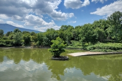 IMG_20210605_140614515_HDR