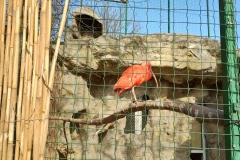 IMG_20220219_114155779_HDR