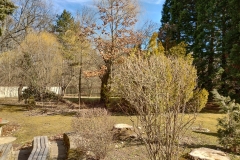 IMG_20220219_123713652_HDR