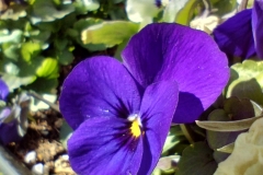 IMG_20220219_124029065_HDR