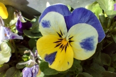 IMG_20220219_124130172_HDR