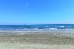 IMG_20230304_120404540