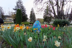 IMG_20230414_180916033