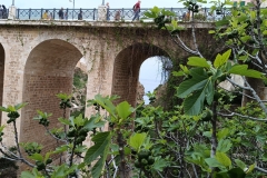 IMG_20230424_123420741