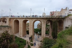 IMG_20230424_123457457
