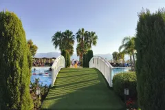 IMG_20251010_171529456 IMG_20251010_171529456