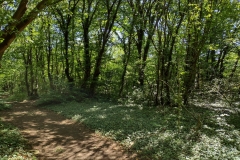 IMG_20210704_105645466_HDR