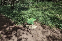 IMG_20210704_105912323_HDR