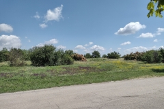 IMG_20210704_110439875_HDR