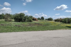 IMG_20210704_110509536_HDR