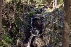 IMG_20210719_152904272_HDR IMG_20210719_152904272_HDR