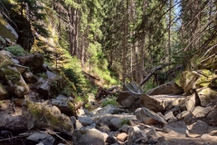 IMG_20210719_153147240_HDR IMG_20210719_153147240_HDR