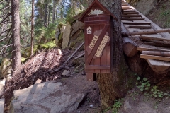 IMG_20210719_153200040_HDR