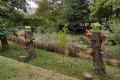 IMG_20210724_182145415_HDR