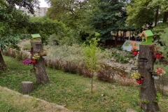 IMG_20210724_182147386_HDR