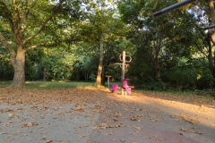 IMG_20210824_183539896