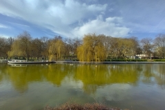 IMG_20210104_113331