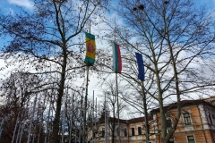 IMG_20210105_110831