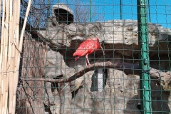 IMG_20220219_114213_HDR