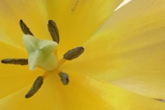 IMG_20220313_093423