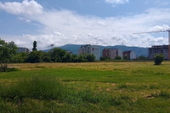 IMG_20230625_144038_HDR