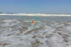 IMG_20230709_160754