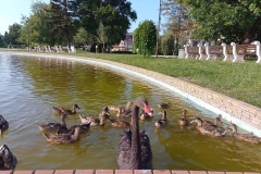 IMG_20230716_185027_HDR