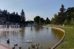 IMG_20230716_185107_HDR