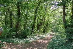 IMG_20210613_101327_HDR