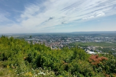IMG_20210613_105835_HDR